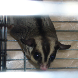 ご応募お問い合わせ、ありがとうございました