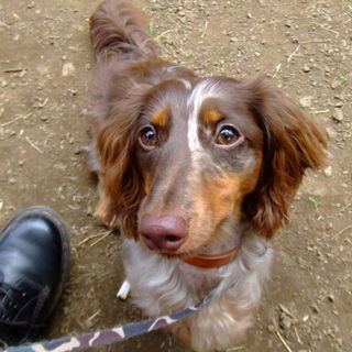 ※募集を一時中断させていただきます※