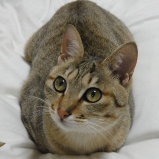 甘えん坊な女の子