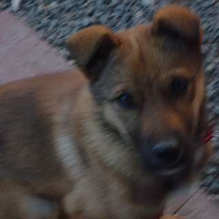 行き先が決まりました。