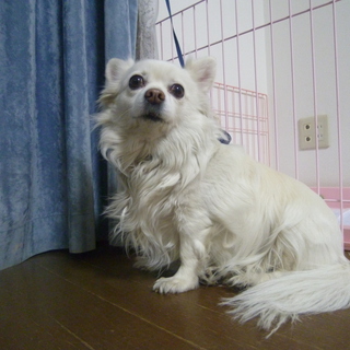 よろしくお願いします