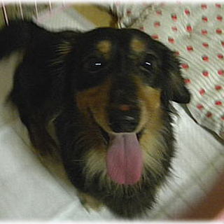 とにかく元気一杯で笑顔が素敵な男の子