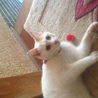 甘えん坊の女のコ（さくら）です サムネイル5
