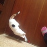 甘えん坊の女のコ（さくら）です サムネイル7