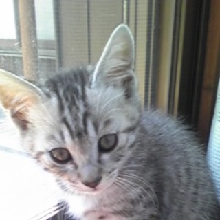 たくさんのお話をいただきました。ありがとうございました。