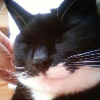 白黒模様がチャーミング!!