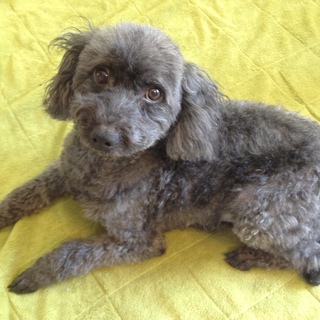 素晴らしいご家族に巡り合いました！ありがとうございました。