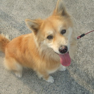 よろしくお願いします