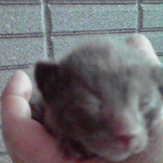 ありがとうございました