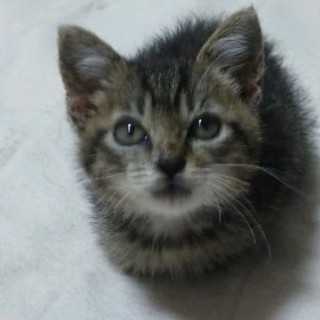 お問い合わせくださった方々、本当にありがとうございました!!!