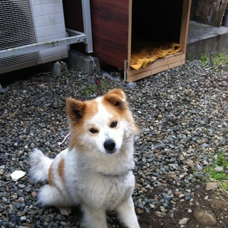 やさしい家族にめぐり合う事が出来ました。ありがとうございました！！