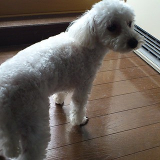 どうぞ宜しくお願いします。