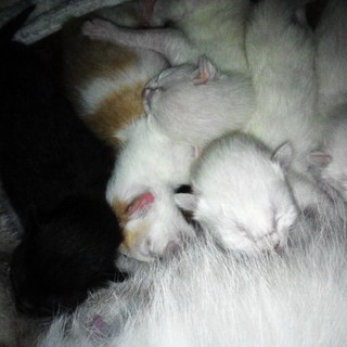 ﾃつ・｢窶楪｢ﾃ｢竄ｬﾂｹ}ﾃ｢竄ｬﾂ｢ﾃδ･ﾃつ・｢窶楪｢4/9ﾃ・ｽYﾃ｢竄ｬﾅ｡ﾃη禿｢竄ｬﾅ｡ﾃδｪﾃ｢竄ｬﾅ｡ﾃη津・價ﾃ・凖つ湘・傳ﾃ・傳ﾃ・ｽqﾃ｢竄ｬﾅ｡ﾃつ