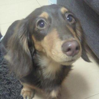 お願いします☆