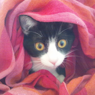 ありがとうございました