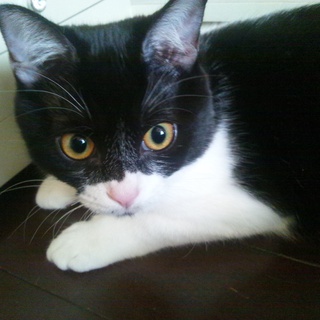 ありがとうございました