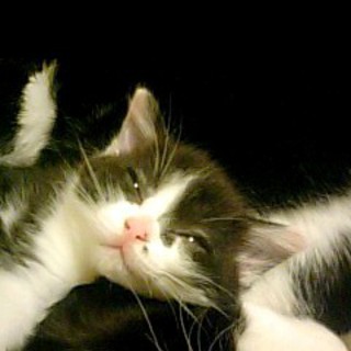 ありがとうございました