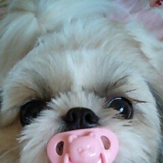 元気で明るい子です☆