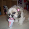元気で明るい子です☆ サムネイル2