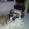 元気で明るい子です☆ サムネイル6
