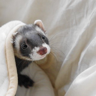 おかげ様でお話が進んでおります。有難うございました。