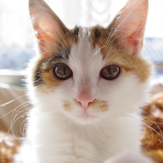 おかげ様で素敵なご縁がありました！