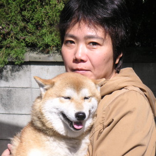 柴犬の小型犬です