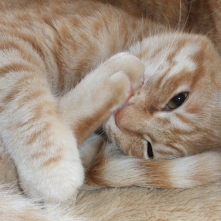 おかげ様で素敵なご縁がありました！