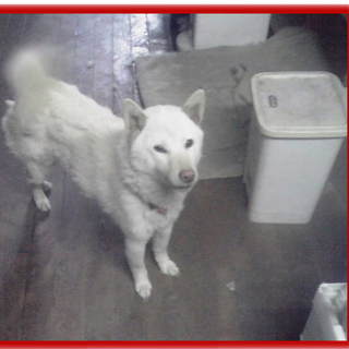 そらちゃんです