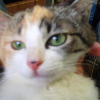 愛です。宜しく。