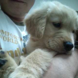 大切に育ててくださる里親さんへ