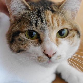 おかげ様で素敵なご縁がありました！本当にありがとうございました！