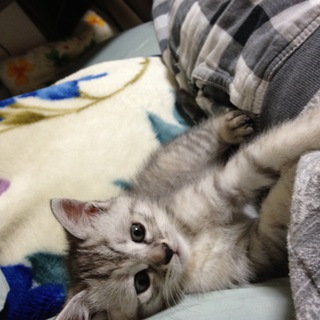 かわいい女の子です!!