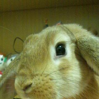 たくさんのご連絡ありがとうございました。ただいま検討させていただいております。