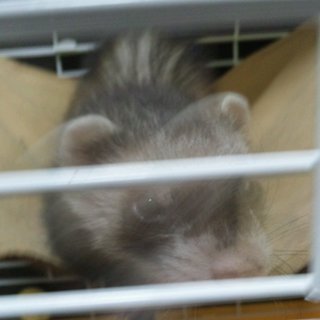 ご応募ありがとうございました。