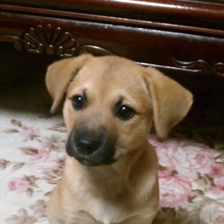 3月中旬に産まれた子です