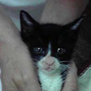 ありがとうございました。