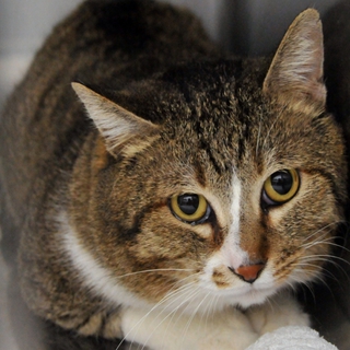 だいすけ君。癒しをあたえてくれる子。