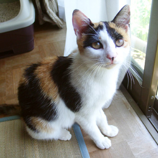 ありがとうございました！