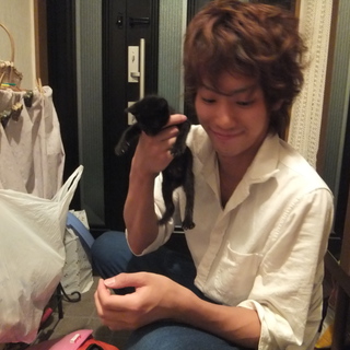 トイレしつけ済み子猫もらってください。