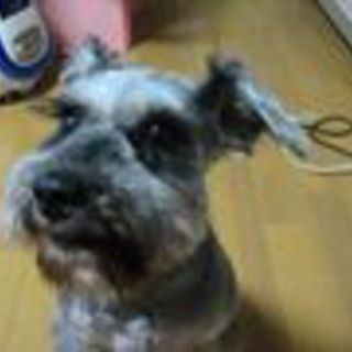 ４歳のＳ＆Ｐの女の子♪