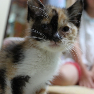 里親決定いたしました。