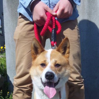 甘えん坊で元気な５才男の子☆