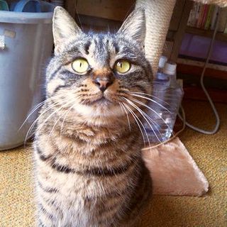 ありがとうございました