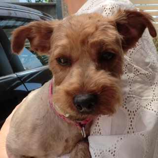 生涯大事にしますと言って頂きました。感謝です