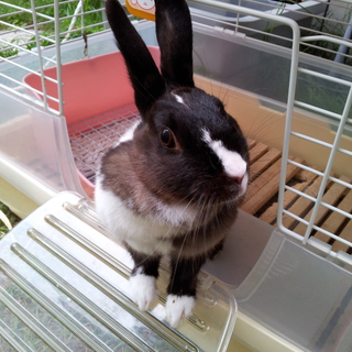 応募ありがとうございました。