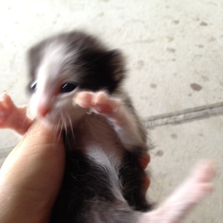 ありがとうございました