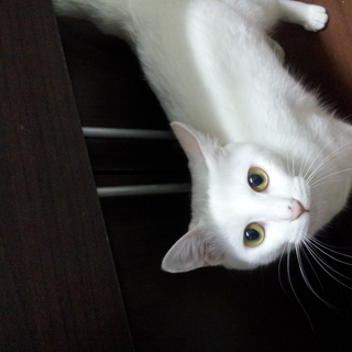 甘えんぼうさんです♪