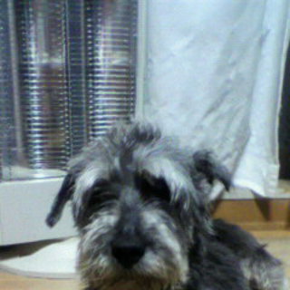 大人の魅力溢れる甘えん坊の男の子♪