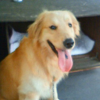 端麗！若く美しいGR・素晴らしい相棒に